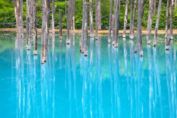 Blue Pond in Hokkaido jab.tokyo/?p=1947 #japan #travel #picture
