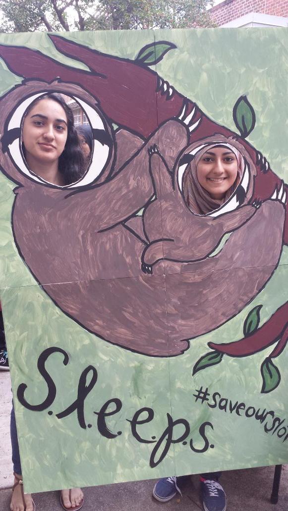 SavePygmySloths's tweet photo. #saveoursloths http://t.co/3vrIFH2zE5