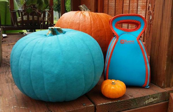 Solvetta's tweet image. RT to Win: @Solvetta #FlatBox-LunchBox unzips to a #placemat, provide a clean surface #food #allergies  #germs