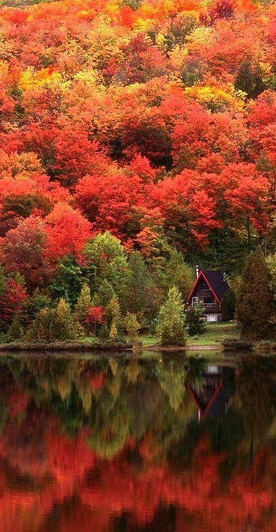 bloomcrm's tweet photo. #autumn #beautiful #fall #finic #finicprint #canvas #canvasprint #picoftheday #redautumn #lake #nature #reflection http://t.co/ZyEiSjUYP1