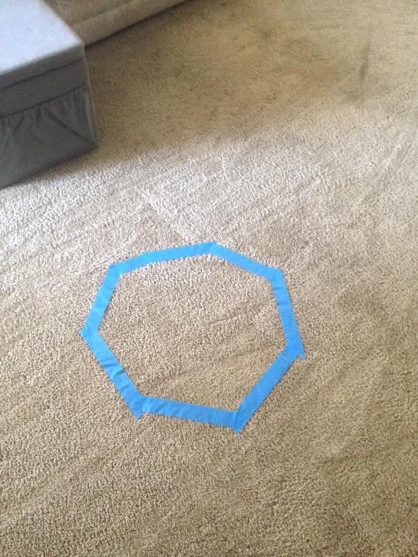 Why do cats sit in circles? experiment goes viral.This will