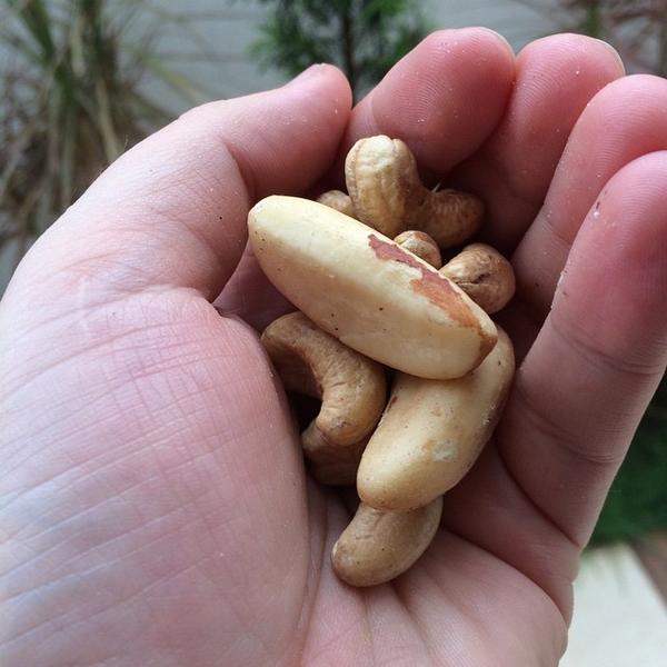 ballestra's tweet image. 4pm, Caju and Pará nuts #nosalty #nofried // 16h, Castanhas de Caju e do Pará #semsal #a... instagram.com/p/ud15RLDmSn/