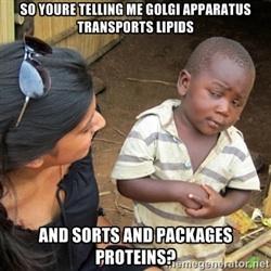 GOLGI1apbio's tweet photo. #itshardwork #butsomeonesgottadoit http://t.co/9R1zf08nYw