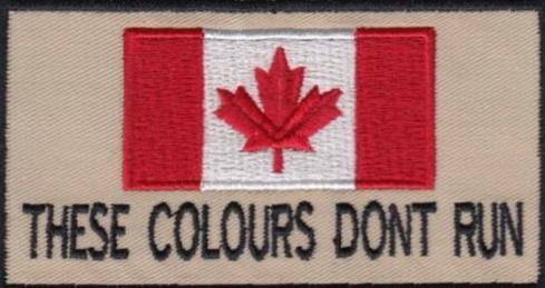 ashleykangel's tweet image. Proud to be Canadian today and always! #OttawaShooting #CanadaStrong