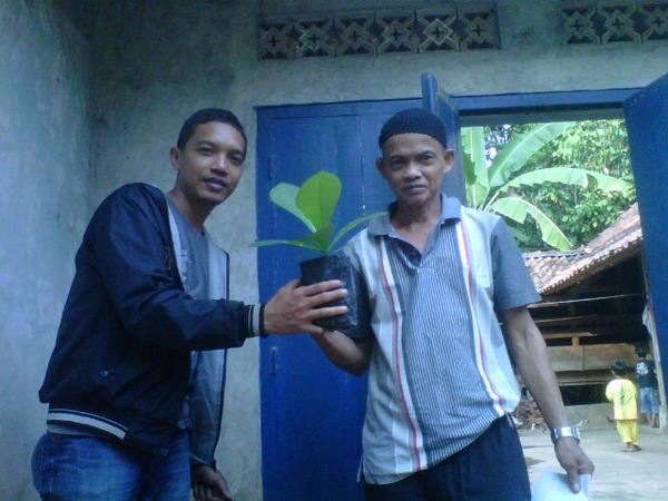 CV_GLM's tweet photo. Pengiriman bibit #JatiSolomon kepada Bpk.H.Oong d Karanganyar #Ciamis. #GoGreen #CV_GLM http://t.co/I0kCkAsCsd