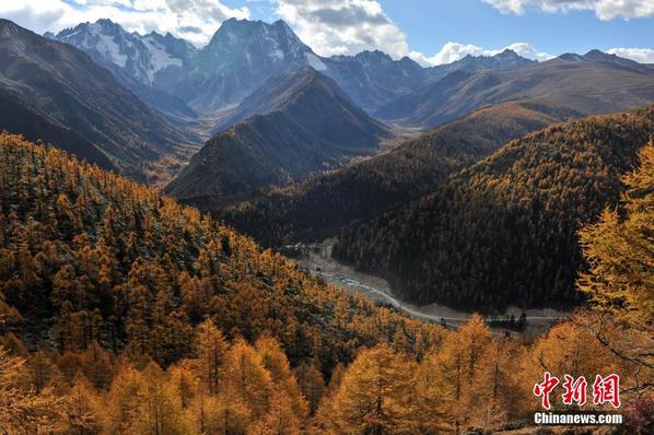 tibetol's tweet photo. Amazing autumn scenery in Shangri-laⅠhttp://t.co/TZADz3EURI http://t.co/rhfS7c5QEt
