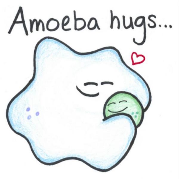 WHSSciClub's tweet image. Endocytosis or exocytosis? #cellulartransport