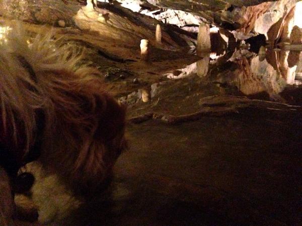 Today I discovered the Cave-Filtered water is v tasty! #slurp! #cheddarcaves