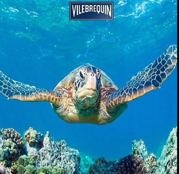 Vilebrequin México tweet media