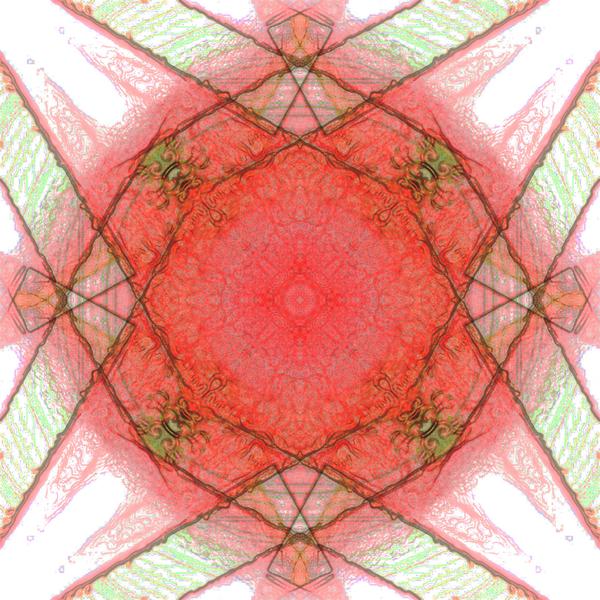 nucleus amygdalæ ||| whatever you say