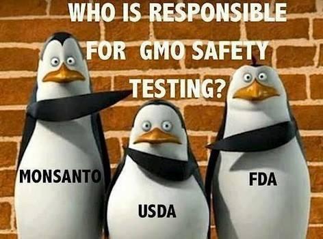 Honeycolony's tweet photo. If it weren't so true, it'd be funny!

#GMOtesting #NoGMOs #Monsanto #USDA #FDA http://t.co/g7GOLg8Oq1