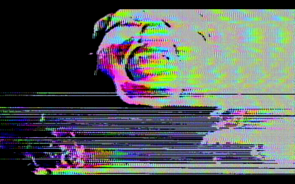 #terrorvision