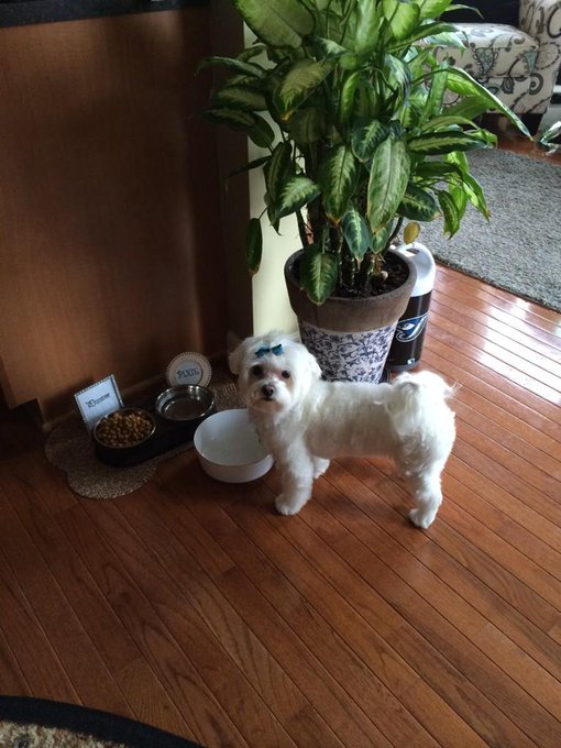 So i need to get all up on the twitter to get followers like @colbyjansenXXX ok check out this pic of