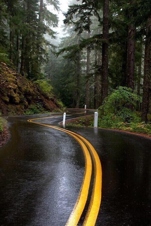 relaxvibes's tweet photo. I need someone who appreciates this as much as I do. http://t.co/gb5yMyBUq1