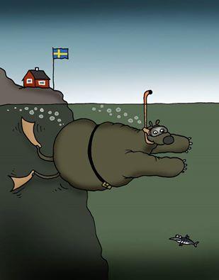 Шведы снова обнаружили подводное НЛО и на этом основании прекратили учения флота