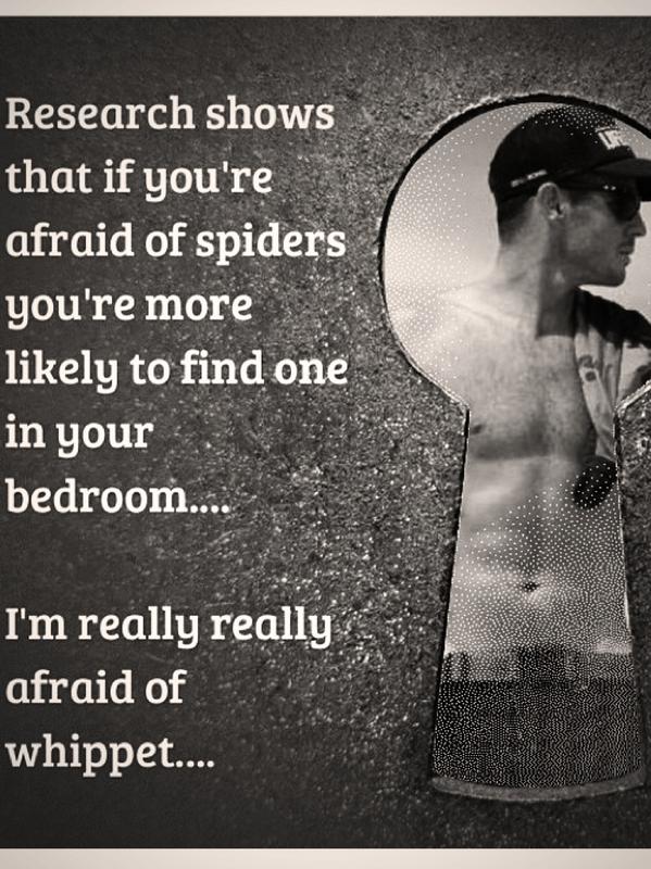 Team_Whippet's tweet image. Sorry whip 😜