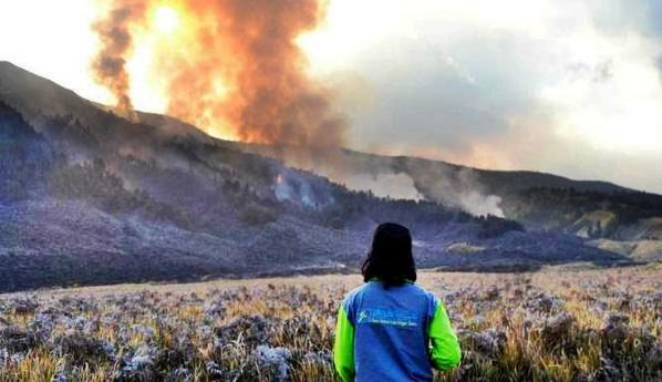 GoProbolinggo's tweet photo. Cek TL kami soal Kebakaran Bukit Teletubies G Bromo #SAVEBROMO Pls Jgn buang puntung menyala @infosda @JogjaToday http://t.co/WQj0F76n6M