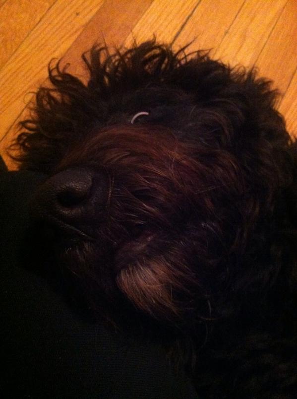 Awkdturtle's tweet photo. I always feel like somebody's watching me... @georgelee http://t.co/8Rzc35PEFR