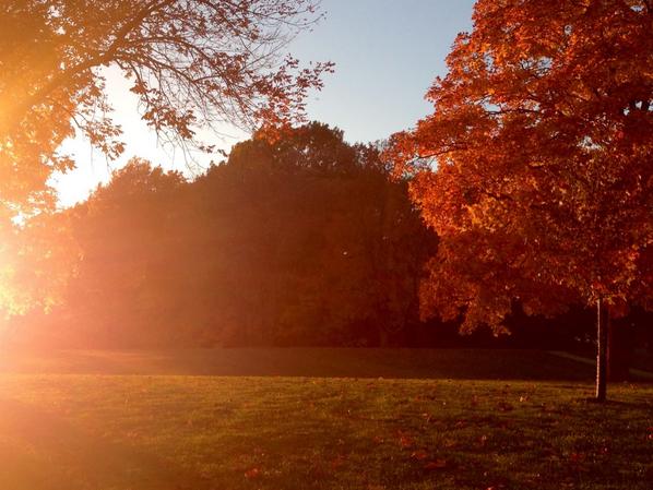 emilyrollie's tweet photo. A heavenly fall afternoon 5 miler. #RunnerGal http://t.co/auU0zO1QbO
