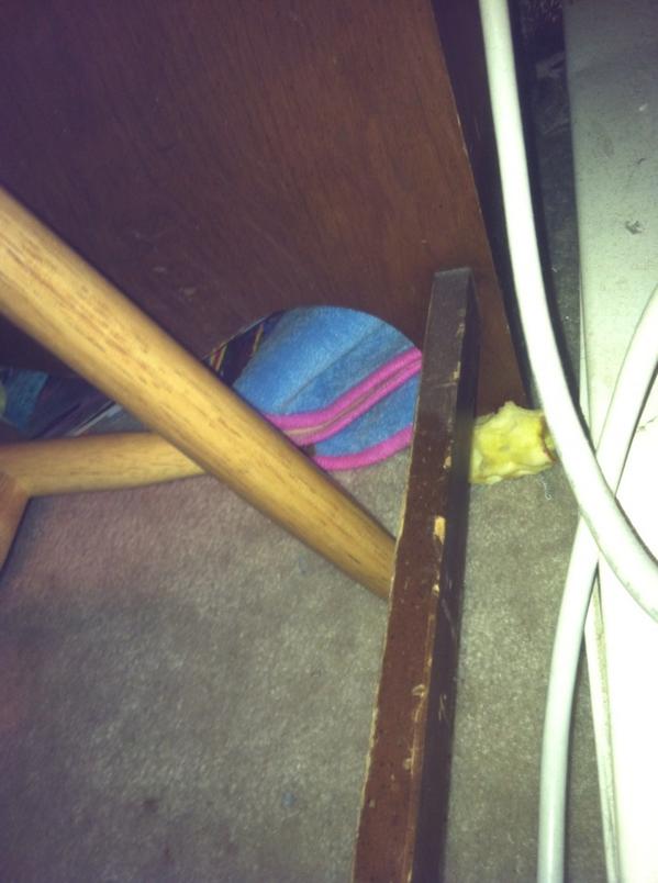 Marissa_Gambone tweet picture
