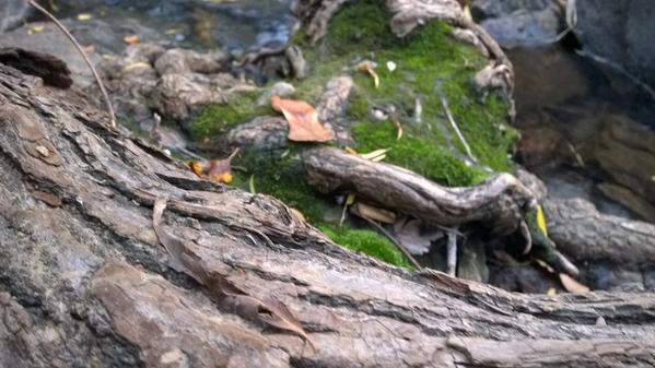 CaptnBradyH's tweet photo. Had a fun afternoon helping @el_davidblanco and @NathanScottWard film a video. Luckily the landscape was beautiful http://t.co/lCtOxAG7No
