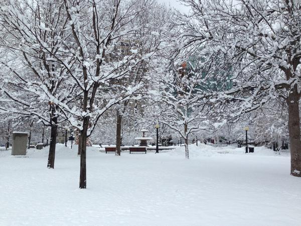 ScottHayhow's tweet photo. #MyOttawa http://t.co/MLjPzLhR7D