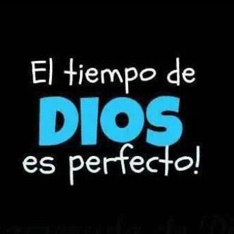 Poetadelciel0's tweet photo. ¡El tiempo de Dios es perfecto!
http://t.co/S9vJXWyZcy http://t.co/Wnslrwd3Q9