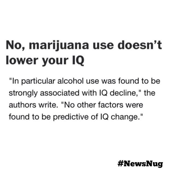 newsnug tweet media