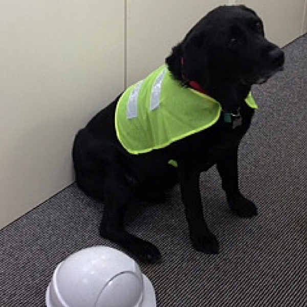 RT <a href="/T2DigitalLtd/">T2 Fire & TECS</a>: You know that things are busy when Roly has to get his PPE on. #newapprentice