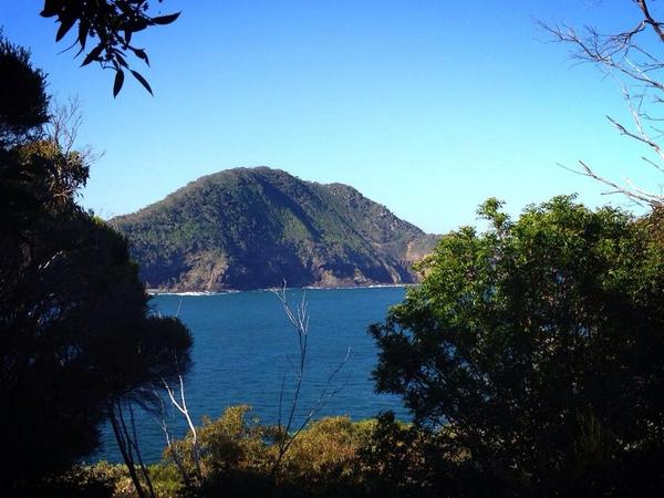 Didn't # make the summit coz a giant goanna jumped out at me but still a stunning view from Tomaree Heads! #ARTN14