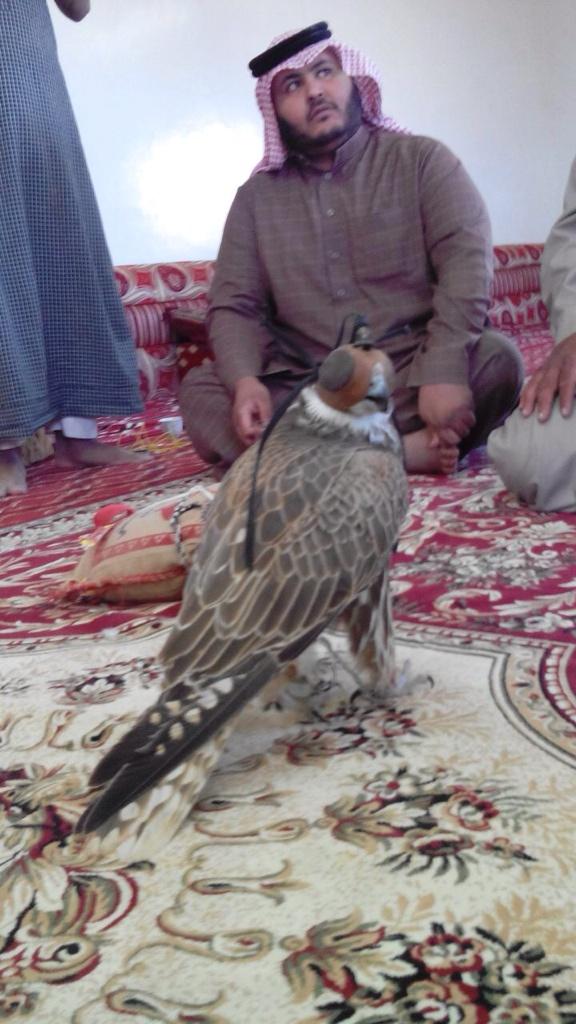 سعد السلبود tweet media