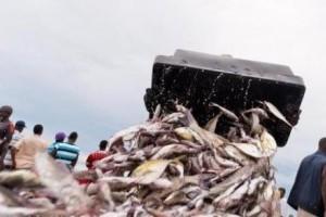 MauritanieToday's tweet image. #Mauritanie : le président Aziz accusé de corruption  
mondafrique.com/lire/bakchich/…