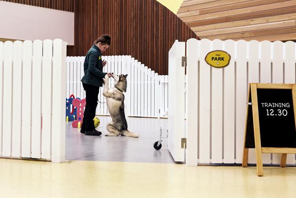 Design_Week's tweet image. Fitch has created this "indoor village" for Dog's Trust rehoming (lots of cute doggy pics…): bit.ly/1xcwUft