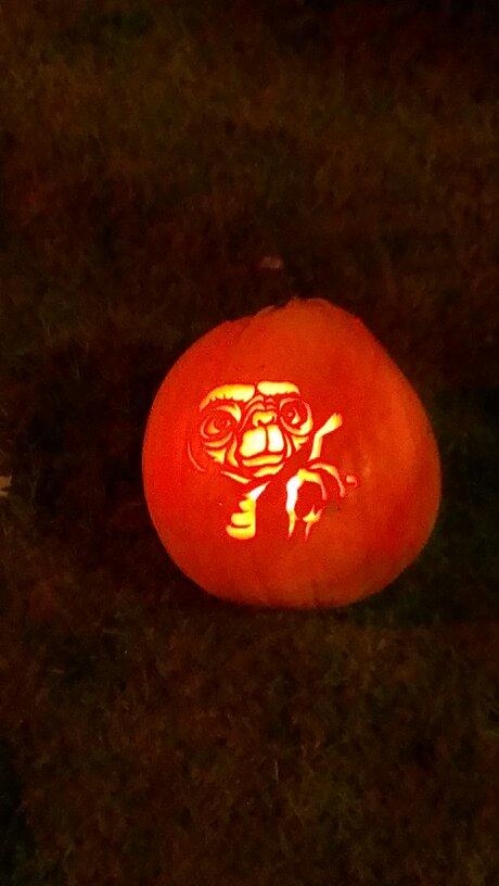 ChipFallones's tweet photo. Another pumpkin for the garden #fallones @STVGlasgow @clydecashforkid @BBCScotlandNews @clydecashforkid http://t.co/pdQJfYRisQ