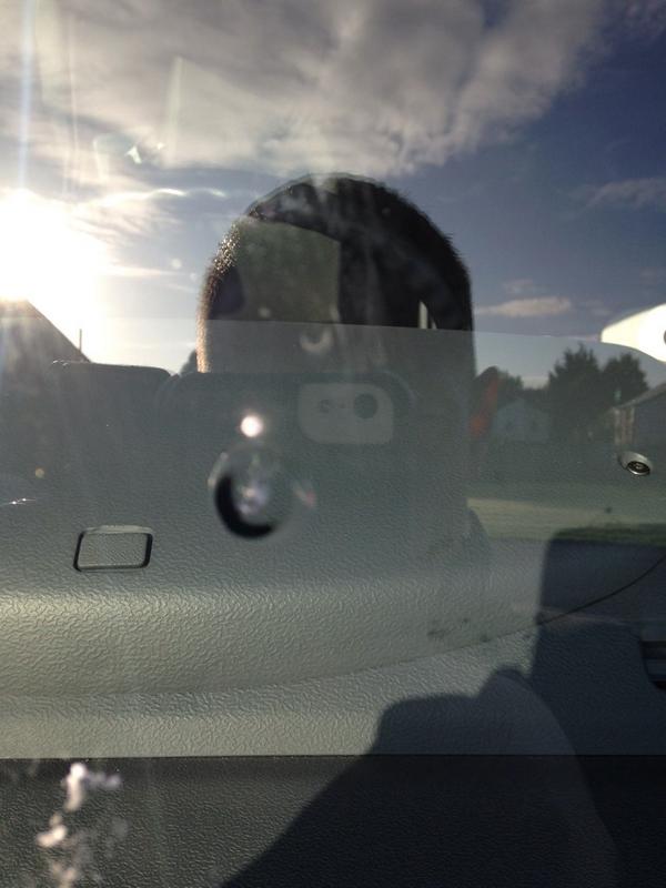 repairascreen's tweet photo. http://t.co/hFqUTmgEpa