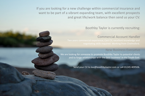 BoothbyTaylor's tweet photo. We are looking for new people. Please RT as it could be your follower we're looking for #chelmsford #insurance #job http://t.co/priF6GvNjq