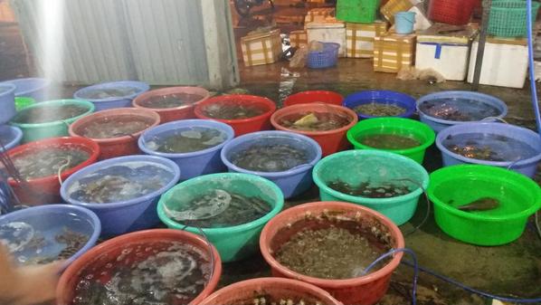 DaNang beach live seafood.
