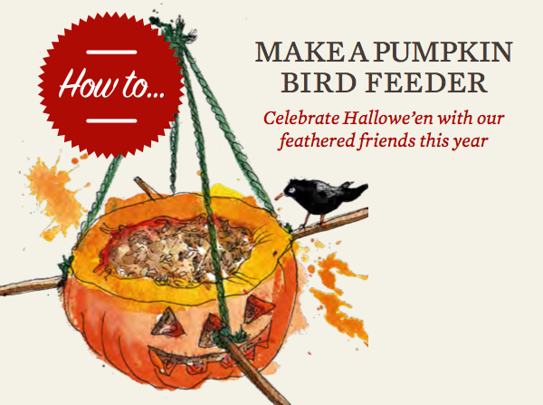 simplethingsmag's tweet photo. Boo! Don’t ditch the Halloween pumpkin, turn it into a bird feeder: http://t.co/aBF3YO2rtU http://t.co/DWWNOyQF9v