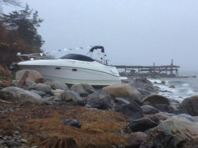 View image on Twitter