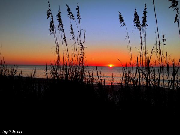 EditorInGSO's tweet image. RT @JoeyOConnorEnt: Sunrise this morning 10/23/14 in #GardenCity #MurrellsInlet #MyrtleBeach #OnTheGrandStrand #SC