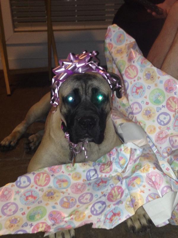 Adbalcorta's tweet photo. Raiza helping unwrap presents! Haha http://t.co/4HYe2BevVi