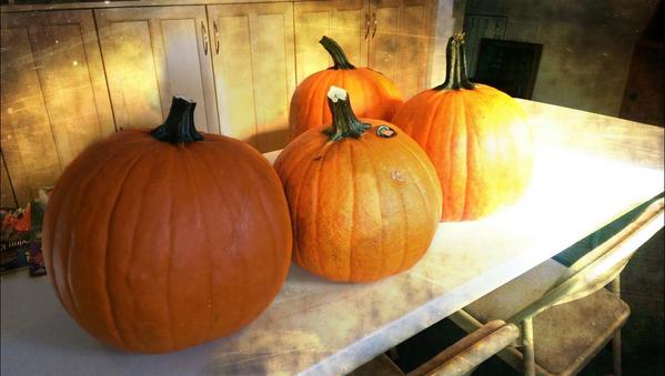 CharlestownCoC's tweet photo. What should we carved them in go? http://t.co/VyPHSLWQuL