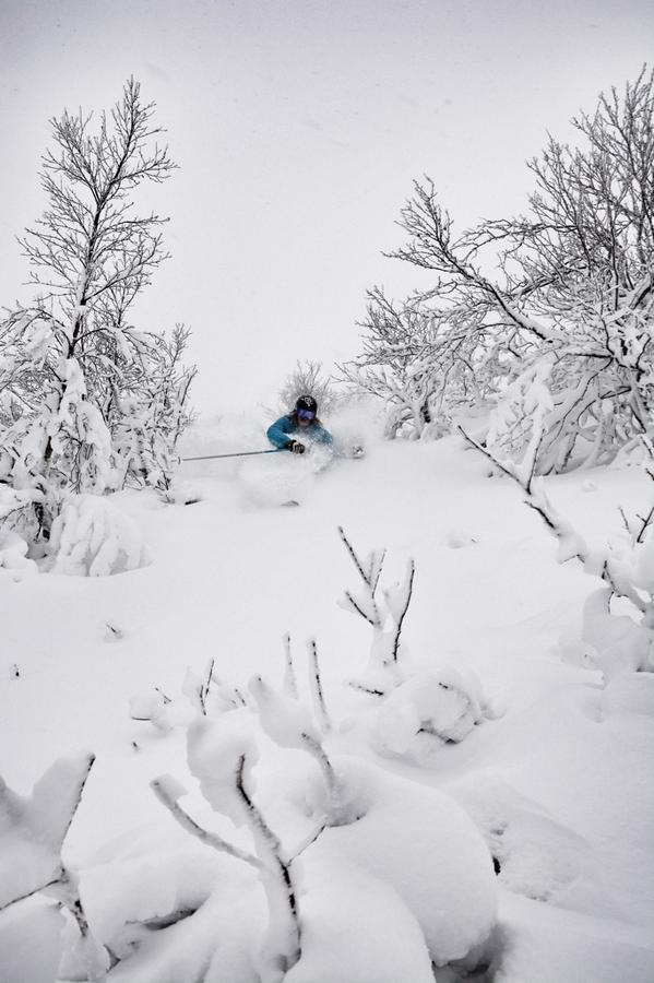 ErikHammarsten's tweet photo. Fun pow for lunch! First for this season! #vemdalen #icelanticskis #funpow @Icelantic_Skis http://t.co/qYGLO7TV0B