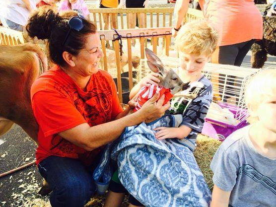 ARCureSearch's tweet photo. Cockrills Country Critters will be at our CureSearch Family Festival with petting zoo &amp; pony rides. Come see us! http://t.co/QLGbtM4Obw