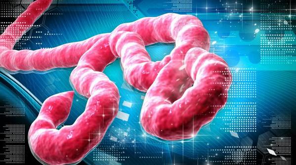 Vrijdag 24 okt bij NOS npo2 alle ins en outs over #Ebola