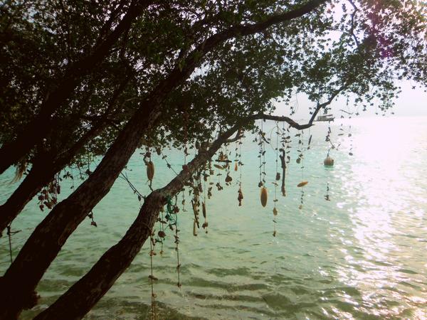 ChloeRodgers's tweet photo. Trouvaille - Fr. something lovely discovered by chance. http://t.co/ahrGqUI7YO