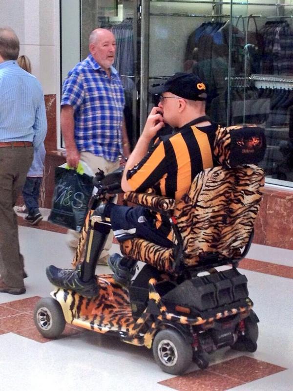 Tigerfan11's tweet photo. @rentascoota there’s a bit of an animal in me… http://t.co/RytizGiSO0