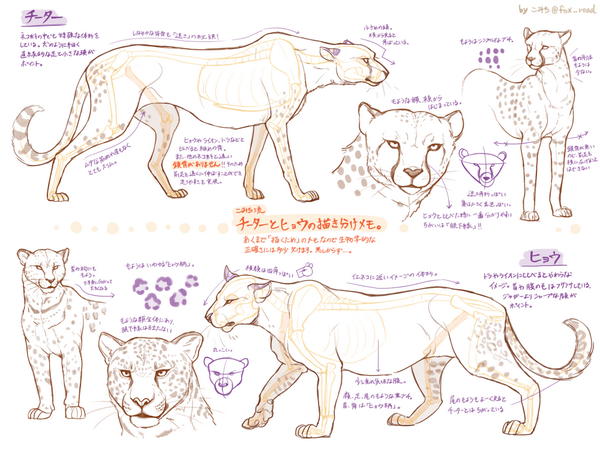遅くなりましたがpng版。 誤字があったらすいません!(あとチーターは爪が引っ込みません!) 