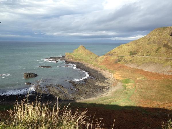 Josh Davis tweet media