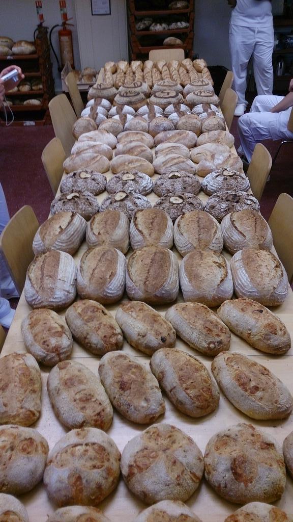 Just a handful of the breads we made today... @artisanschool #BuckwheatApple #Spelt #CheeseChilli #SesameSemolina